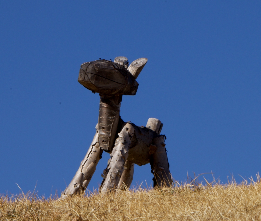 Notallena School Blog